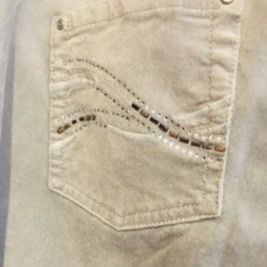 Silver Velvet Embellished Boot Leg Pants